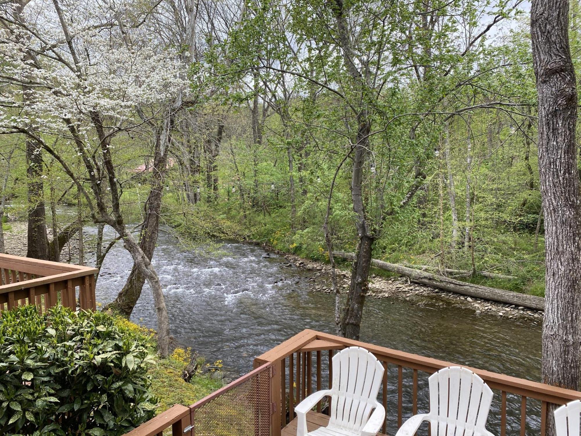 Gray'S Place On Cosby Creek - 2 Bedrooms, 2 Baths, Sleeps 6 Home Exterior foto